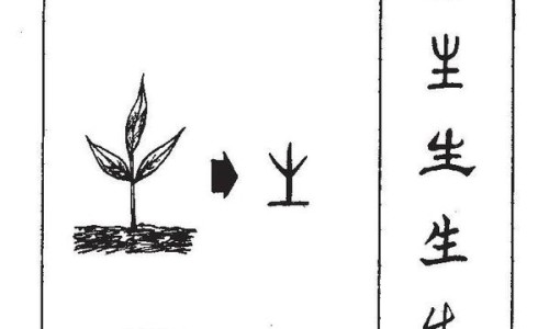 黑青稞粉的吃法网 - 黑青稞粉的吃法大全,黑青稞粉最佳吃法